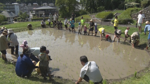 多摩市・唐木田児童館<br>～お米を作ろう！稲からクラブ～